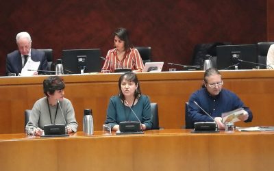 Los Grupos Leader muestran a las Cortes de Aragón su preocupación por el mantenimiento del presupuesto pactado hasta 2020 y los efectos que su incumplimiento podría tener para el medio rural aragonés